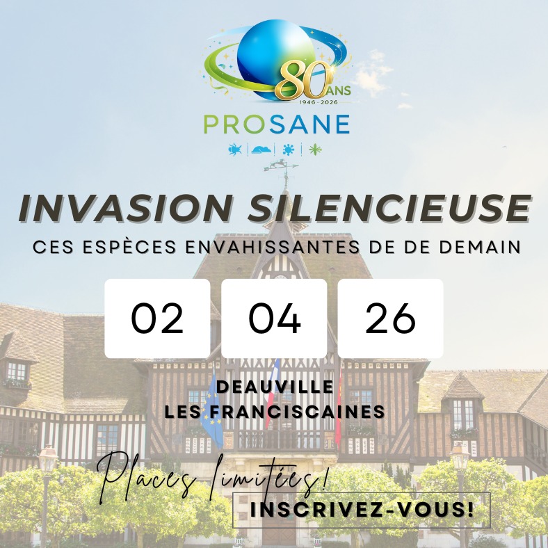 🌍 Anticiper aujourd’hui les espèces envahissantes de demain : rendez-vous à Deauville !
Certaines espèces ne font plus partie d’un futur lointain : elles sont déjà là, souvent discrètes, parfois sous-estimées… et pourtant également un enjeu considérable pour la santé publique, l’environnement et nos métiers.
👉 C’est dans cet esprit que Prosane vous donne rendez-vous à Deauville, le jeudi 2 avril, pour une nouvelle édition de Prosane en Région, placée sous le signe de l’anticipation, de la rigueur scientifique et du partage d’expériences.
✨ Nous serons ravis d’accueillir les membres de notre Comité Scientifique, Technique et Règlementaire (CSTR) et de vous présenter une large partie de celui-ci à travers des conférences de grande qualité, portées par des intervenants reconnus, passionnés et hautement qualifiés.
Au programme : globalisation, triatomes, insectes sociaux (fourmis, frelons, termites), goélands et même une approche sociologique des espèces envahissantes.
🤝 Cette journée se veut aussi et surtout conviviale, propice aux échanges et aux rencontres. Que vous soyez adhérent ou non adhérent, partenaire, acteur de terrain ou simplement curieux du sujet, vous êtes les bienvenus. Nous serons très heureux de vous retrouver… ou de faire votre connaissance !
🍽️ Cocktail déjeunatoire, visites et temps informels viendront compléter cette journée riche en contenus et en discussions.
➡️ Attention, les places sont limitées ! Inscrivez-vous ici : https://lnkd.in/eeiNGPSC
#Prosane #ProsaneEnRégion #EspècesInvasives #NuisiblesDeDemain #SantéPublique #Biodiversité #Deauville #ÉvénementProfessionnel
