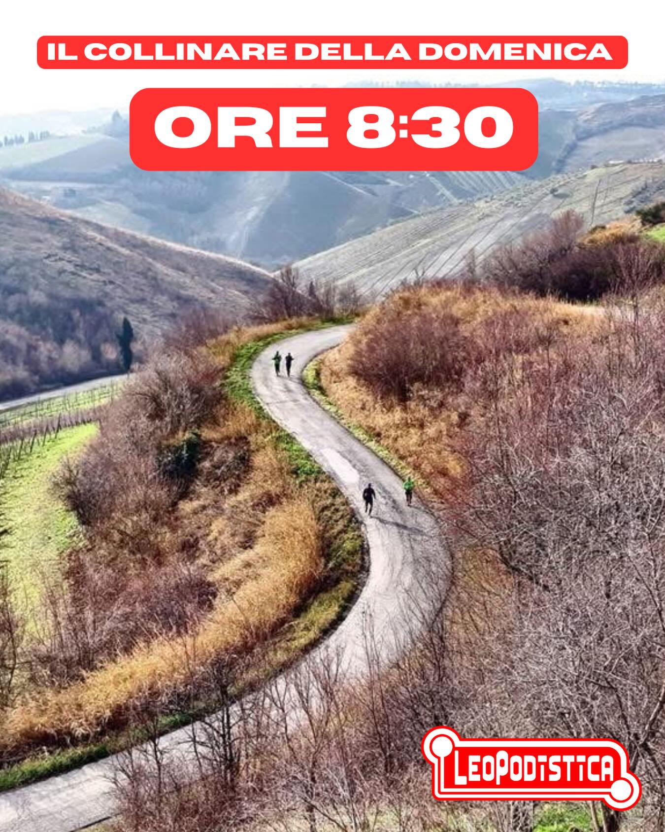 IL GRUPPO STRADA C’È!!!
DOMANI MATTINA
⚠️PARTENZA ORE 8:30⚠️
Partenza dal Bar Gelateria Bassi in Piazza a Faenza alle ore 8:30 (otto e trenta).
Allenamento collinare di corsa su strada, passo tranquillo.
Per informazioni: @leonardocallini 3398854372. Allenamenti autogestiti in autosufficienza. Ogni partecipante è responsabile di se stesso, del proprio stato di salute e delle proprie capacità di affrontare il percorso. Le strade sono aperte al traffico, è obbligatorio rispettare il codice della strada. L’organizzazione declina qualsiasi responsabilità su persone e cose.