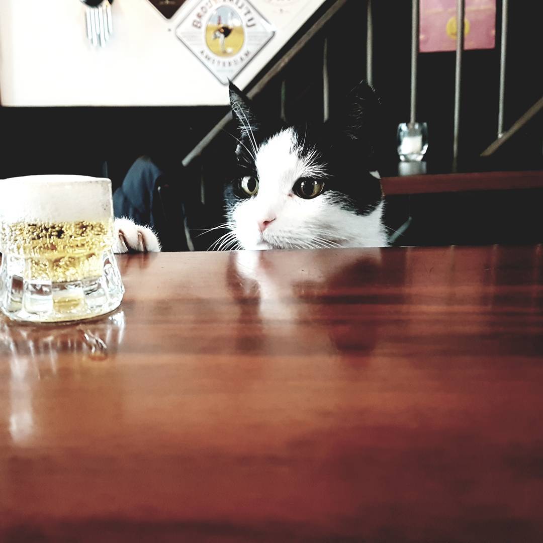 De buurvrouw hakt de week alvast doormidden. Ze heeft echt dorst!