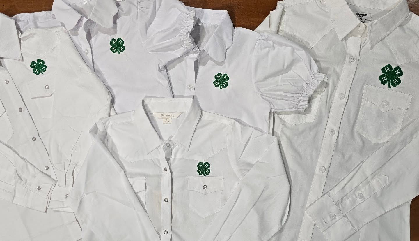 🍀 4H Clover Embroidery 🍀