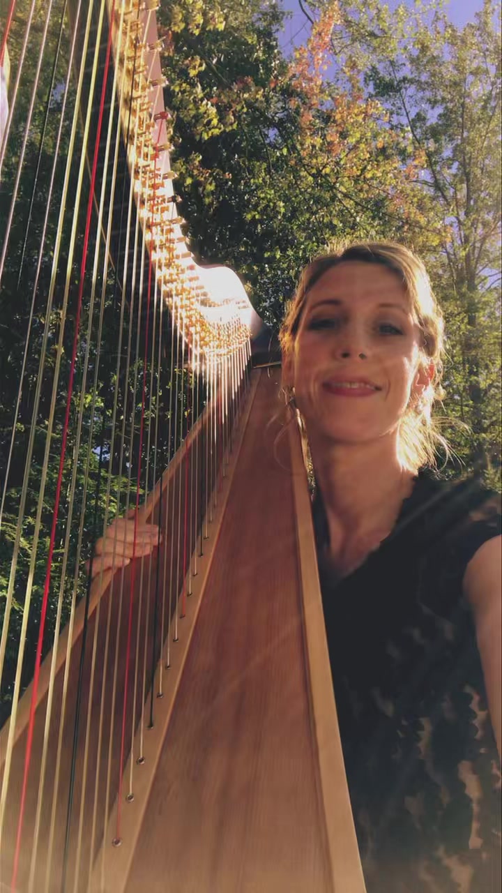 Can You Feel the Love Tonight…
Disney magic + 47 strings ❤️
#disney #canyoufeelthelovetonight #harp #musicianlife #ohioharp #columbuswedding