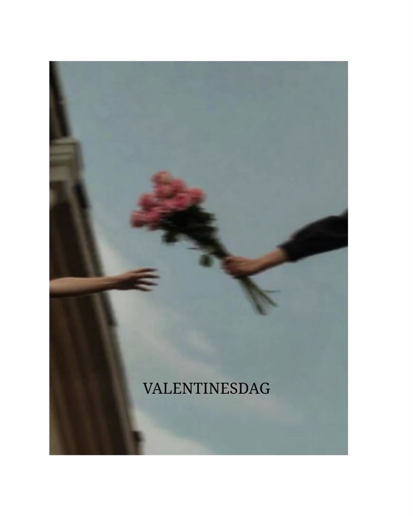 Timing i kærlighed…
“Timing in love
means each soul
has traveled
as far as it can alone,
and must now
figure out
the way forward together…”
Jeg tror, at fremtidens parforhold i højere grad vil hvile på netop dette fundament: To mennesker, der har gjort et indre stykke arbejde – og som derfor kan møde hinanden uden at forveksle projektion med kærlighed.
Vi ser allerede nu de spæde begyndelser.
Relationer, hvor to voksne mennesker kan sige:
“Det her er mit ansvar.”
“Det her er dit.”
“Og her mødes vi.”
I kærlighed og selvbevidsthed det sker💘
Kærligst,
Pernille
Billede fra @photographizemag
______________________________________
#valentinsdag
#bevidstkærlighed
#modneRelationer
#indrearbejde
#kærlighedsudvikling