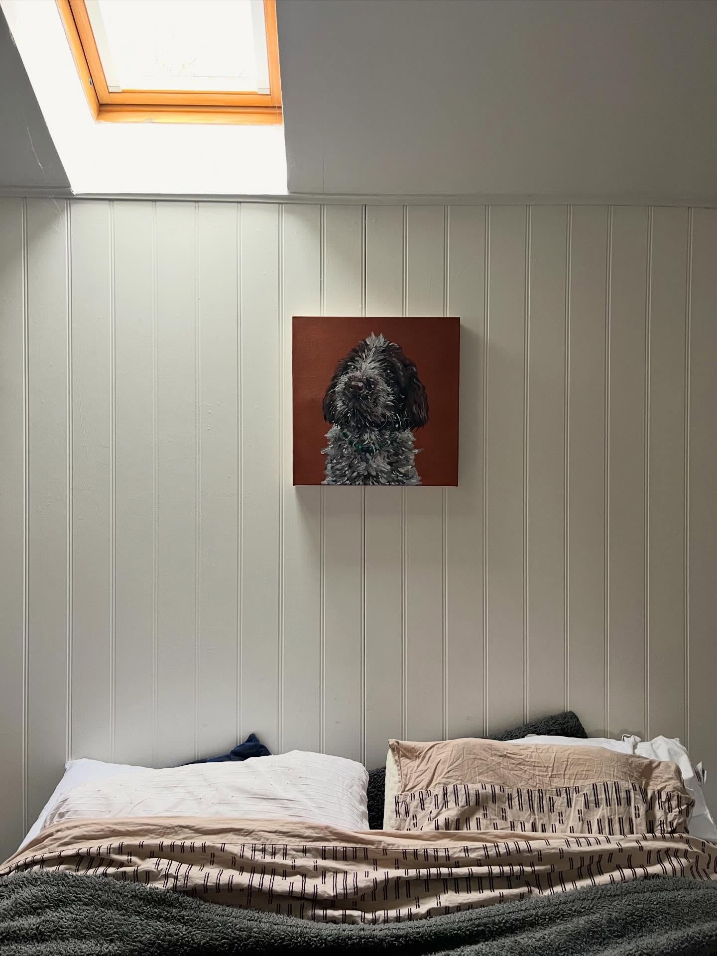 Iโve put up my puppy painting of Bramble up in our home ๐ค If youโre interested in a pup portrait, please send me a DM โบ๏ธ
#art #oilpainting #petportrait #canvaspainting #fyp