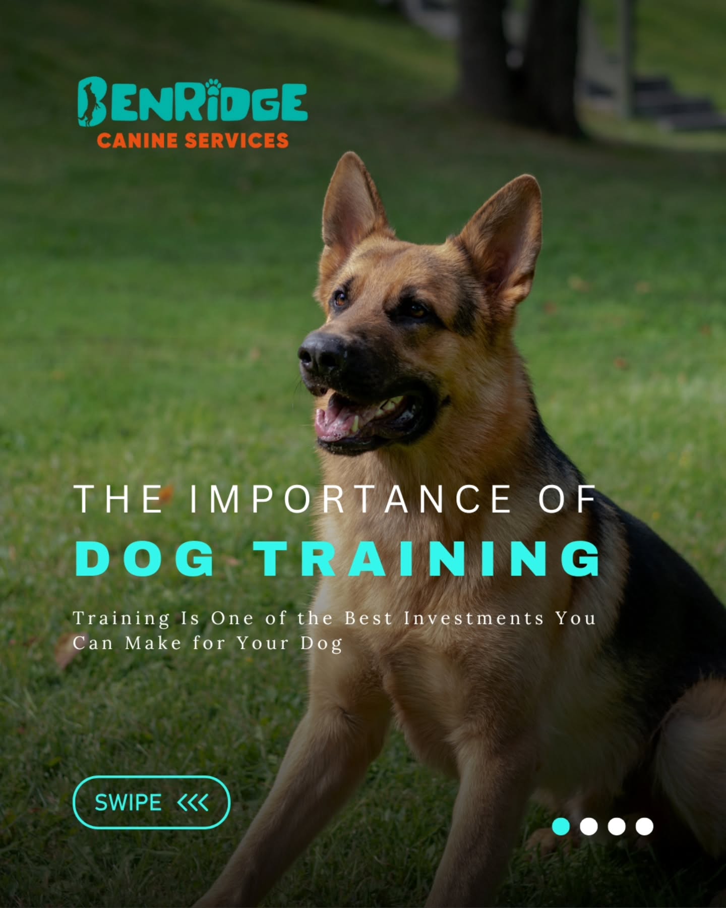 The Importance of Dog Training 🐾
Training is one of the best investments you can make for your dog and for your relationship.
It’s not just about commands.
It’s about building communication, structure, and trust.
With the right guidance, dogs learn how to:
✔ Stay calm and focused
✔ Understand boundaries
✔ Build confidence
✔ Respond reliably in everyday situations
✔ Become safe, well-mannered companions
Most behavioral challenges don’t come from “bad dogs.”
They come from a lack of clear structure and leadership.
When dogs are properly trained, they feel secure, balanced, and understood and that’s when real progress happens.
24 Pillar Rock Crescent, Markham, ON L6C 3H4
📞 647 425 4838 | 647 807 8761
📲 @benridgecanine_services
🦴 www.benridgecanineservices.com
#DogTraining #WhyTrainingMatters #BenridgeCanineServices #DogBehavior #WellTrainedDog