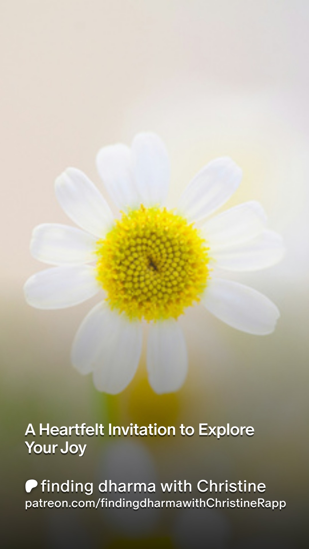 What if growth is not only about tending to what hurts…
but also about strengthening what brings us alive?
So much of personal development focuses on shadow work - healing wounds, understanding patterns, releasing what no longer serves us. That work matters.
But joy is powerful too.
Not as a reward for healing.
Not as bypassing.
But as light work.
Shadow work restores what was wounded.
Light work amplifies what was never broken.
It asks:
What enlivens me?
What expands me?
What feels like home within me?
Many of us are practiced at examining pain. Fewer of us have learned how to cultivate joy.
Maybe growth is not only about fixing ourselves.
Maybe it is also about becoming more fully who we already are.
This is the space we are exploring inside this month’s Soul Journey Gathering: The Healing Power of Joy - live and recorded on my Patreon.
What brings you true joy?
#findingdharma #souljourneygathering #SelfDiscovery