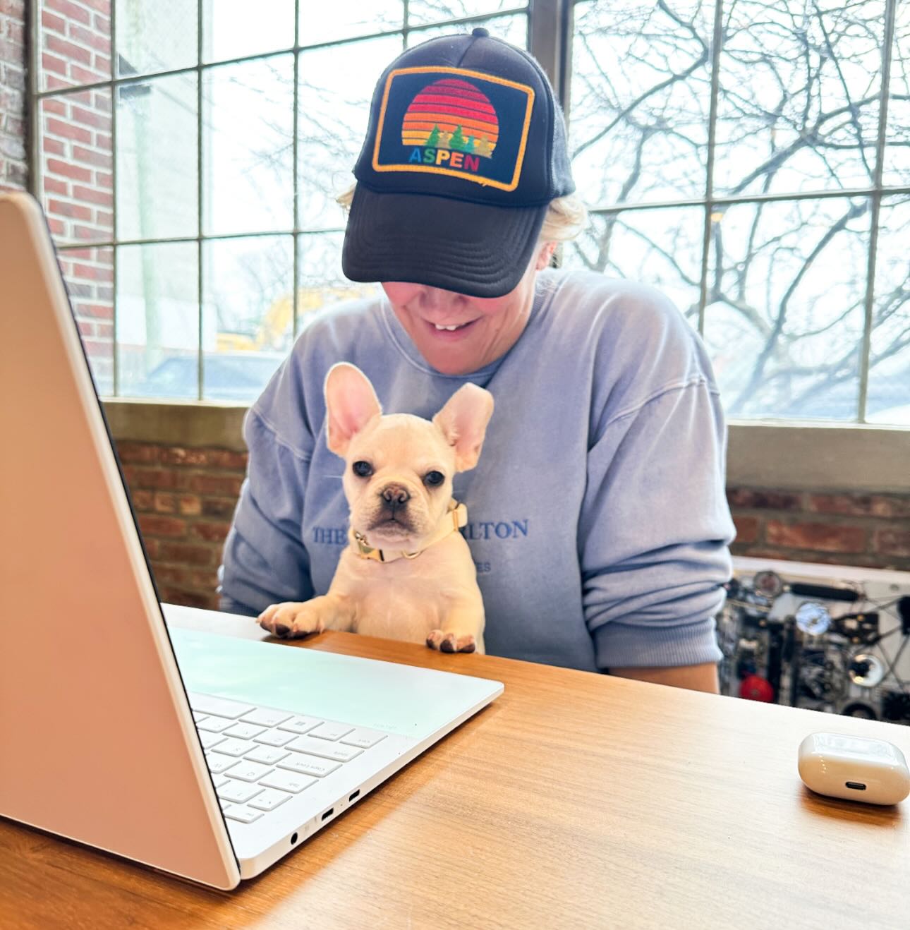 Meet the newest member of our team!
Specialties include: morale boosting, calendar blocking (by sitting on laptops), and aggressive tail-wag negotiations.
Compensation: treats + unlimited cuddles.
Performance review: already exceeds expectations.
#PuppyPartner
#BossButMakeItFluffy
