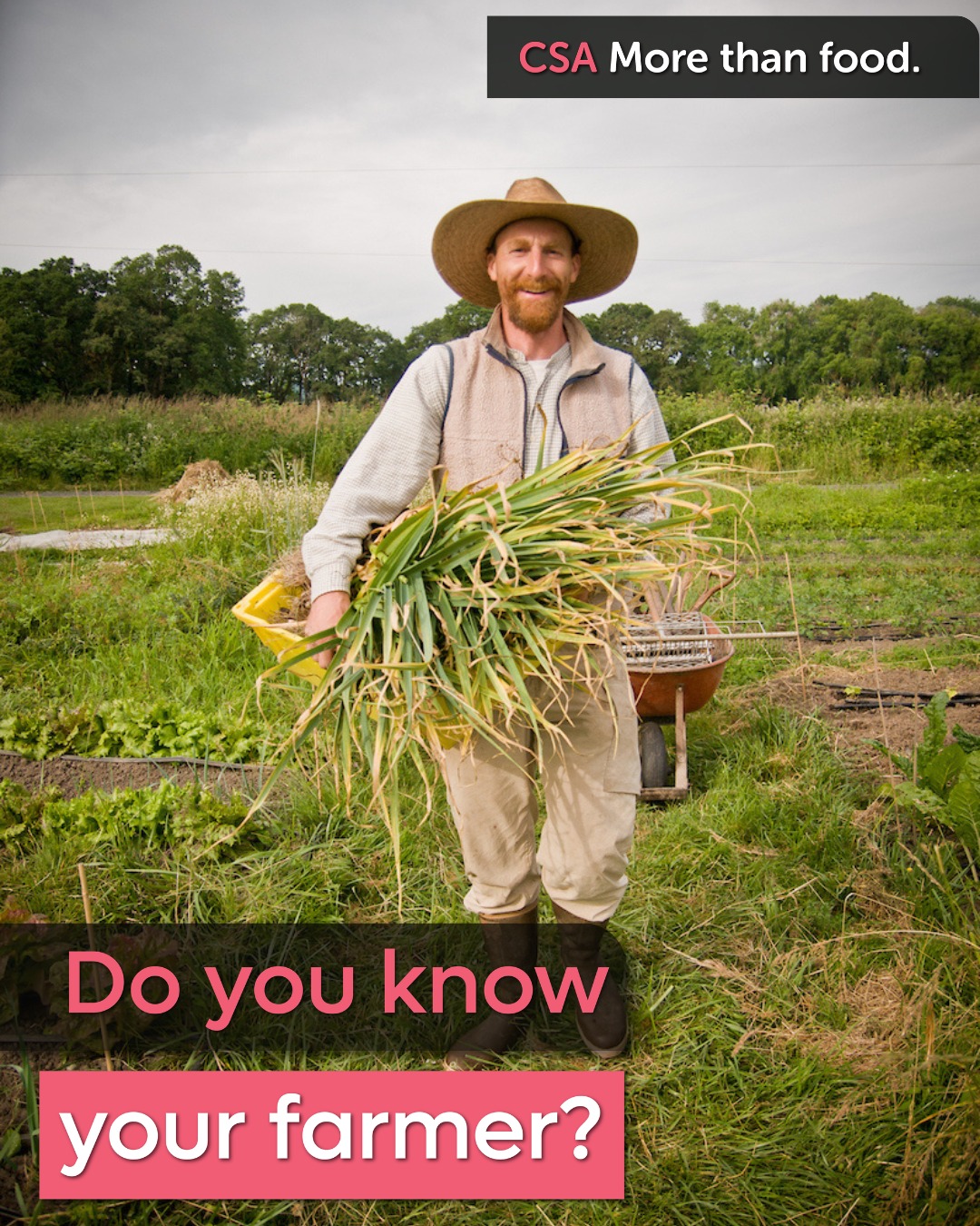 CSA Week is wrapping up but the season is just getting started.
If you’ve been thinking about joining a CSA, this is the time. Join us at the Share Fair to learn more.
📍 Portland CSA Share Fair
Sunday, March 15
11 AM – 2 PM
The Redd East Event Space
Meet dozens of local CSA farmers in one place. Compare options. Get matched with a share that fits your household and pickup location. Sign up on the spot.
SNAP users can purchase a CSA share for 50% off using Double Up Food Bucks.
RSVP at pnwcsa.org or with the link in our bio.
Photo by @shawnlinehan
#CSAShareFair #CSAWeek #PortlandEvents #SupportLocalFarms #PNWCSA #DoubleUpFoodBucks #EatLocal #KnowYourFarmer