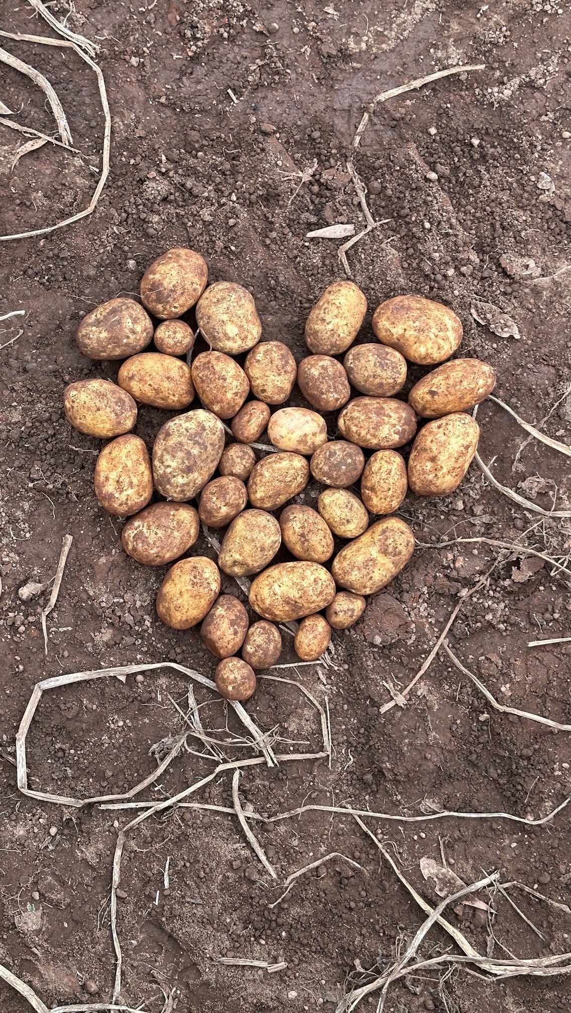 Roses wilt.
Chocolate disappears.
But fresh, seasonal produce? That’s a love story that keeps giving. 💚
This Valentine’s Day, celebrate what’s grown with care right here in the Southern Forests.
Tag your favourite foodie Valentine 🍓🥔
#GenuinelySouthernForests #FreshLocalGeuine #LoveLocal