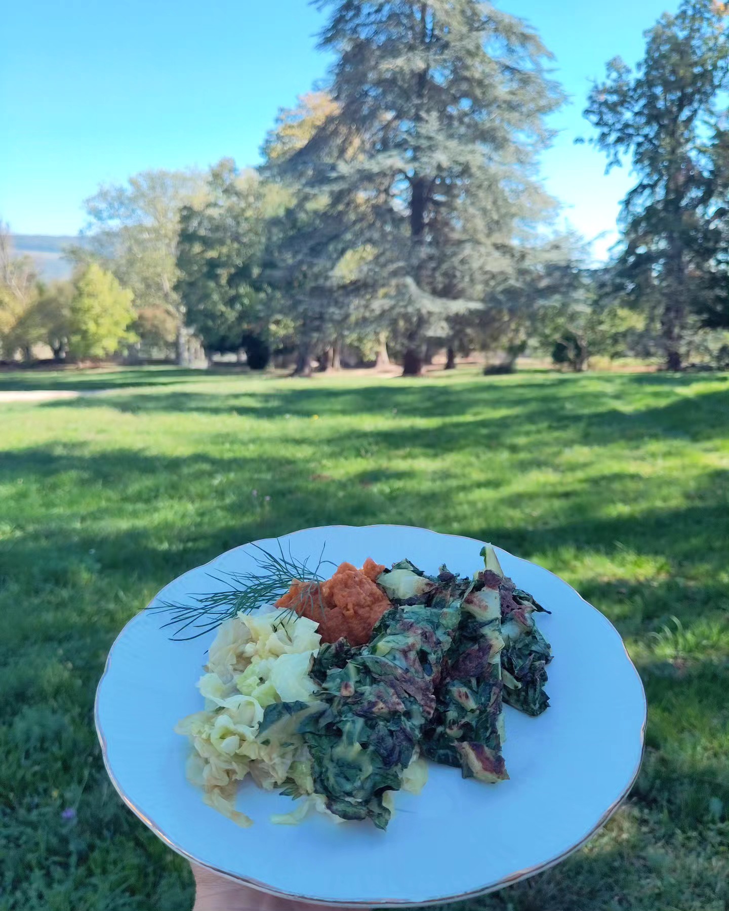 Les fameux petits farçous d'Aveyron, avec du choux frisé sauté et une purée de patate douce, miamlicious...
Ah oui et .... nous on tourne le nouveau projet de Emmanuel Mouret!!
A bien vite les gourmands
#gourmand #cuisineregion #onset #miam