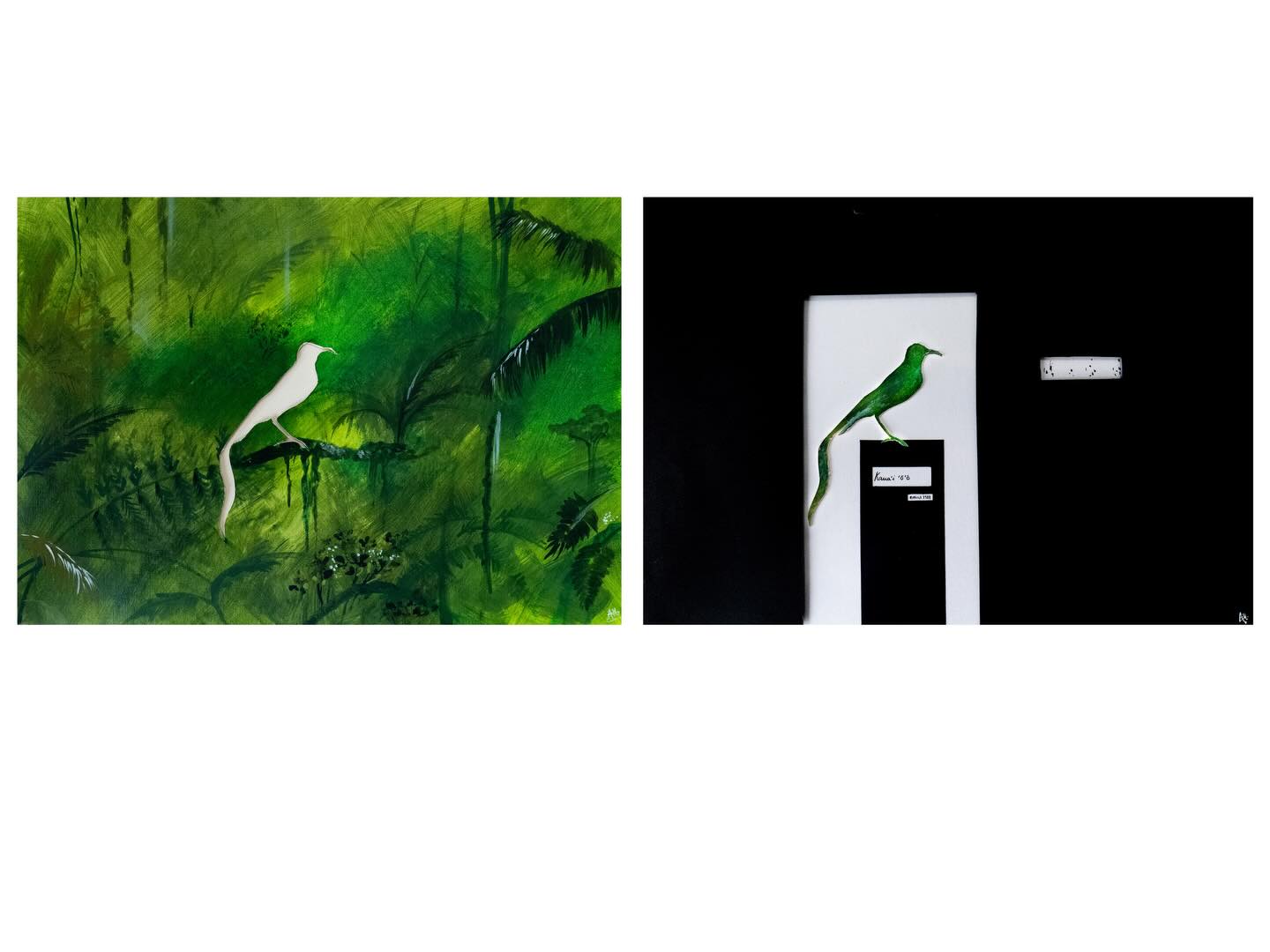 𝓼𝓲𝓵𝓮𝓷𝓽 𝓼𝓹𝓮𝓬𝓲𝓶𝓮𝓷
The Kaua’i ‘ō’ō was a species of Hawaiian honeyeater, endemic to the island of Kaua’i.
Its extinction in 1987 not only was the loss of the species, but the loss of the entire family (Mohoidae).
The loss of the Kaua’i ‘ō’ō leaves a hole in the biodiversity of Hawaii’s tropical rainforests - the bird now only remembered through a few collected specimens, and the recording of the final male’s song.
My latest #wildlifeartivism piece is a diptych:
The first panel shows one of Hawaii’s vibrant tropical rainforests, with the Kaua’i ‘ō’ō carved out of the ecosystem.
The second panel shows us the silhouette of the Kaua’i ‘ō’ō, kept within a glass container, with only its name, extinction date, and part of its song visible. The lack of colour in this done panel emphasising the loss of the species not only from our world, but from our minds. When species go extinct, they fall into the cracks of society’s thoughts - become dusty, forgotten, and left alone, allowing us to repeat those same mistakes over and over again.
Panel 1 -
🎨 @dalerrowney1783 oil board with FW acrylic inks, floating mount over cream @cansonpaper
Panel 2 -
🎨 @dalerrowney1783 oil board background, with ink pen detail. Oil board with FW acrylic inks (cut from panel 1). Black @cansonpaper
.
.
.
#art #artist #bird #wildlife @dswfwildlifeart @dswfwildlife @societyofwildlifeartists @btobirds @getbirdingpod @birdlife.international @birdlife.europe @birda @rspb @rspbengland @wwtworldwide @wwf_uk @wwf @artistoftheyear @theaoi @hawaiiconservation @feministbirdclub @getbirdingpod @birdinggirlies