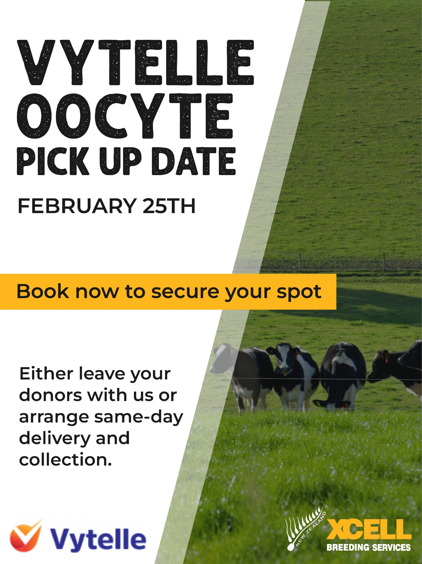 Let us help grow your herd! πππ
Next Vytelle Oocyte pick up date: 25th Feb
We still have some spaces available still for our next Vytelle Oocyte pick up date this February 25th. This is a great time to make the most of your donors after spring mating - before they're too heavy in calf. Make the most of this window and give us a call!
You can either leave your donors with us or arrange for same-day delivery and collection.
