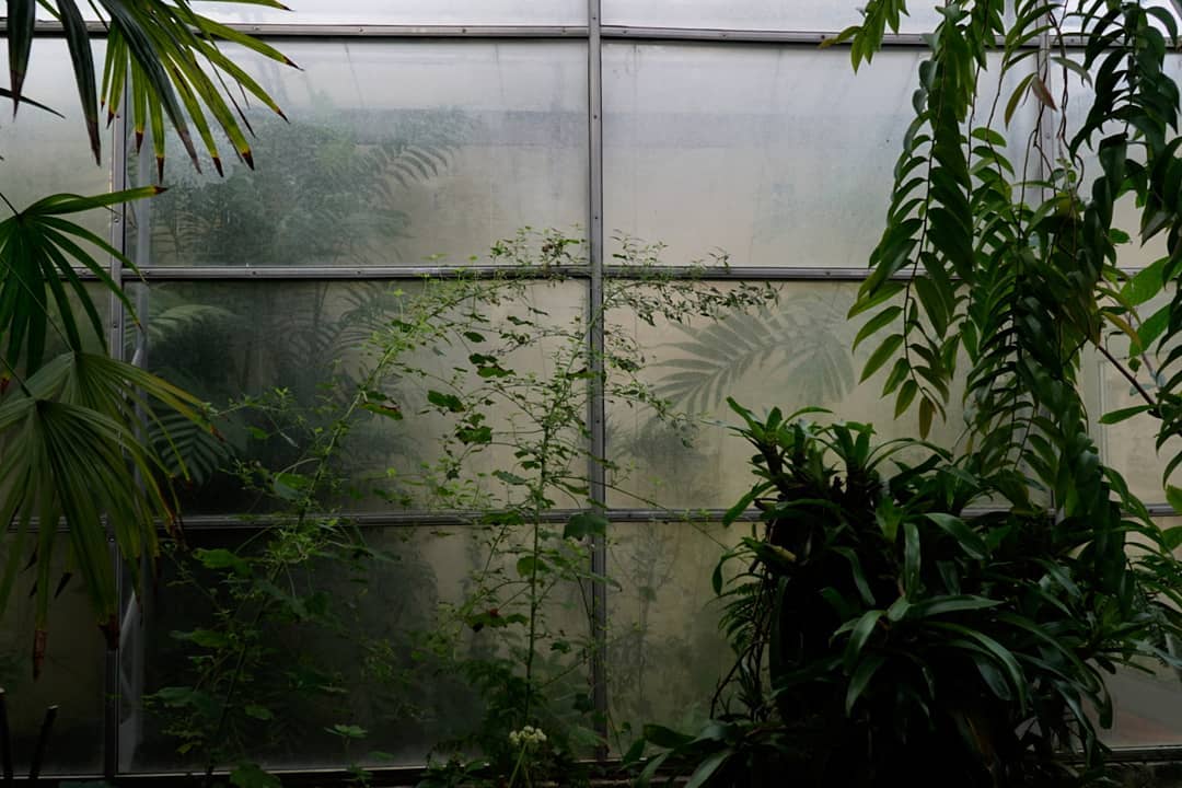 🌱 #sonyworldclub
#sonyalpha
#sony