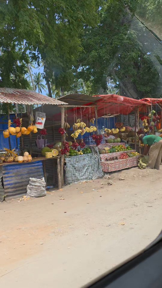 POV: You just arrived in Zanzibar 🌴
and trust us, its absolutely not a catfish...
its a real place, where real people live, and it is still developing.
The island is one of the most beautiful destinations in the world, each and every side of it - you cant beat it 🩵🌍
#zanzibar #volunteerabroad #traveldeeper #pov #islandlife