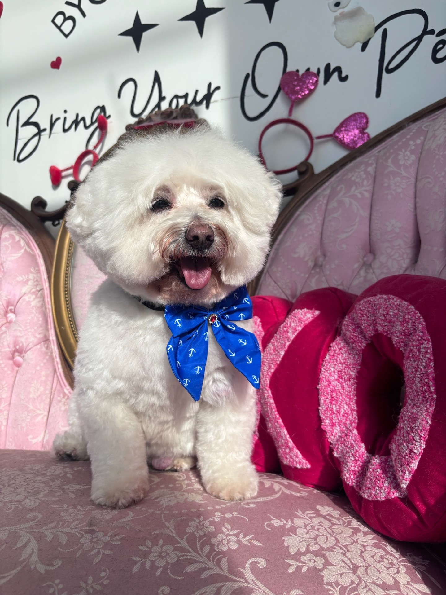 Shamelessly obsessed with sweet boy, Charlie and his very round head