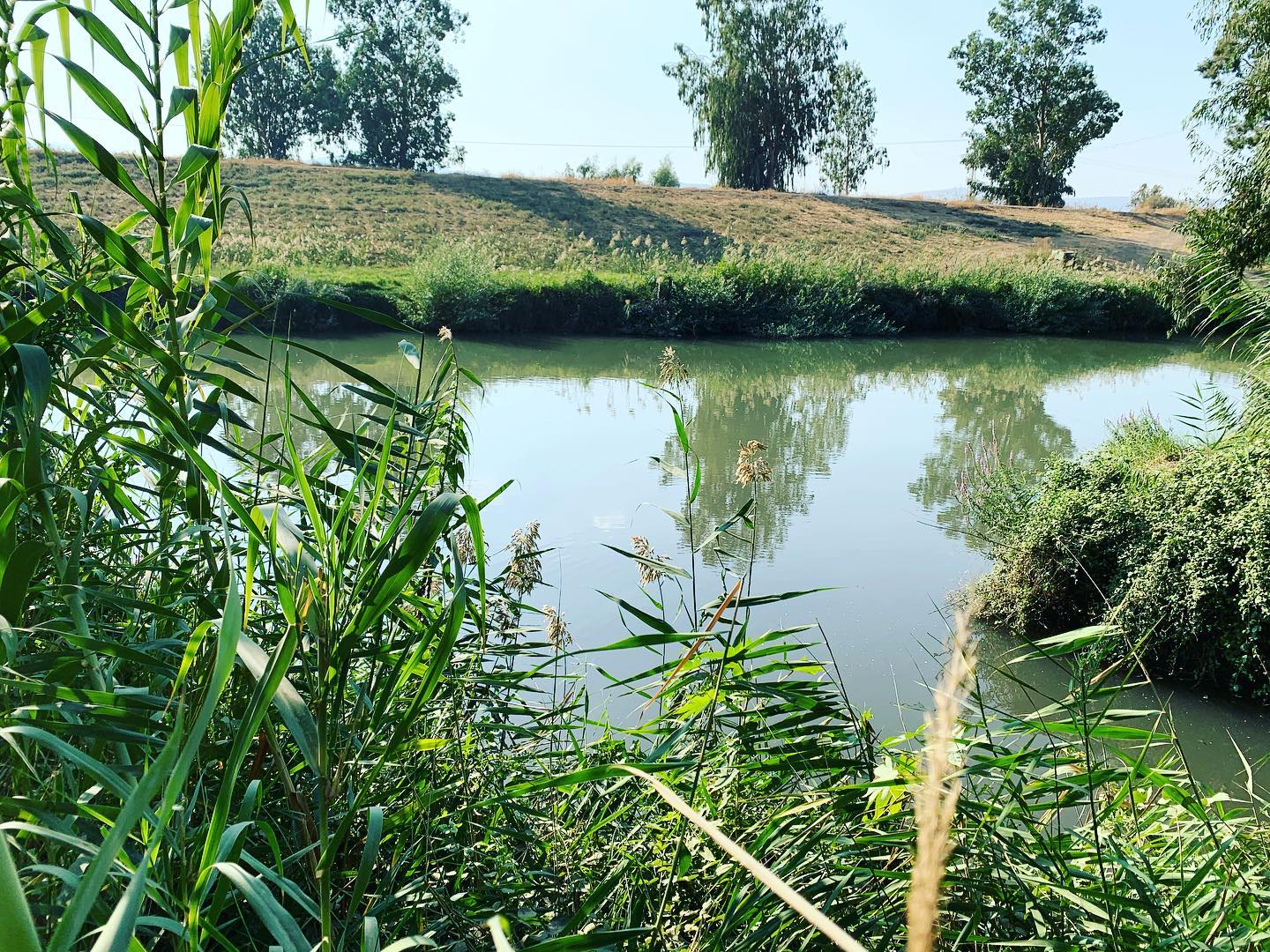 #jordanriver •
• •
#travelisrael #travel #viptrips #natureisrael #israel #north#travellocalisrael