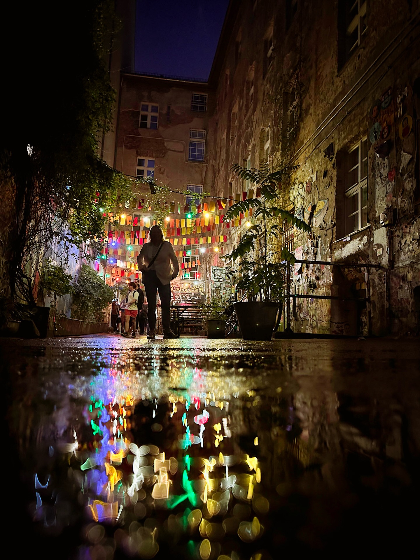 Dead chicken ally🤩 travel2berlin.com. #berlintips #berlintravelguide #berlinlikealocal #firsttimeinberlin