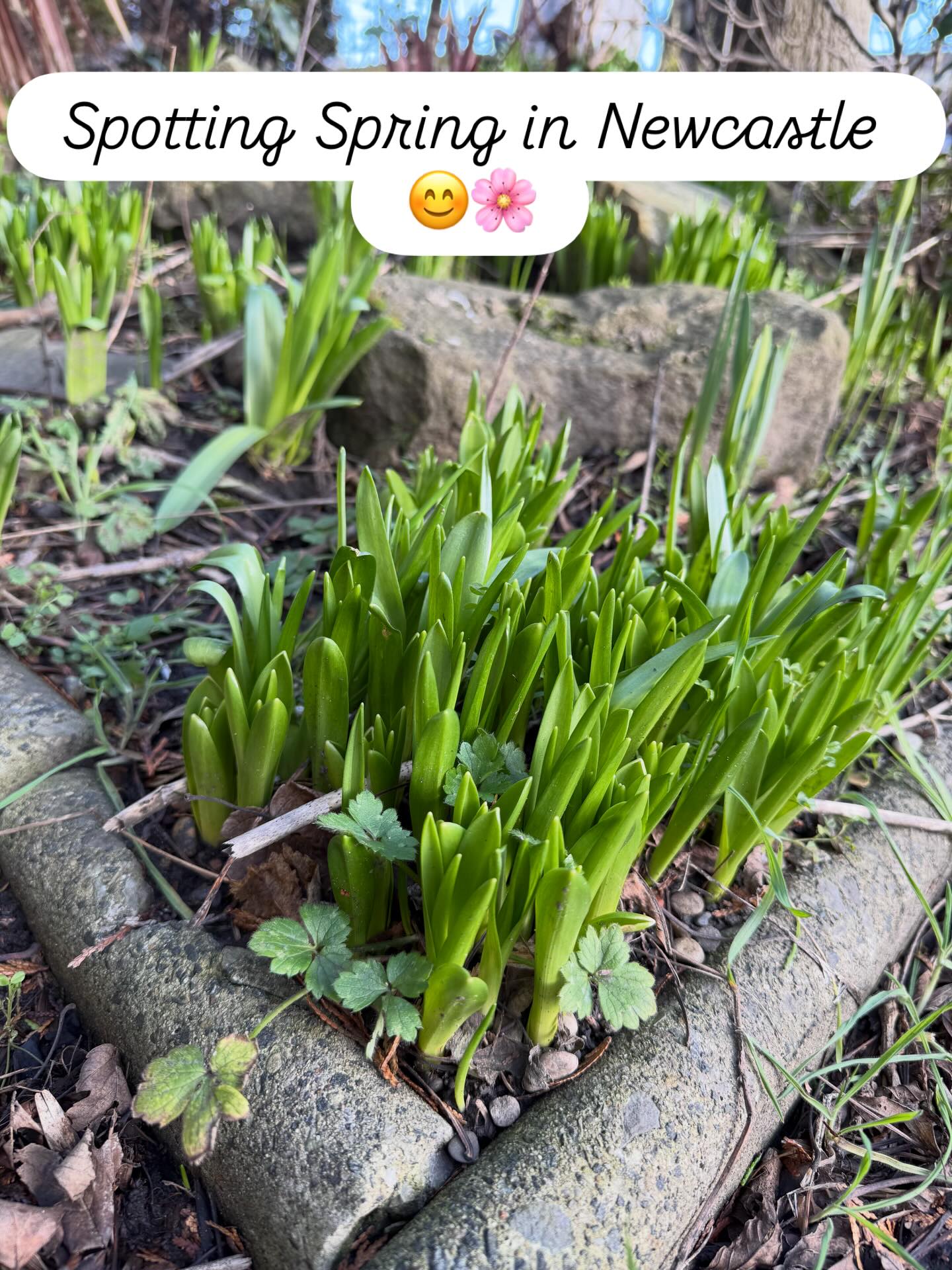 😁
#alltogetherwild