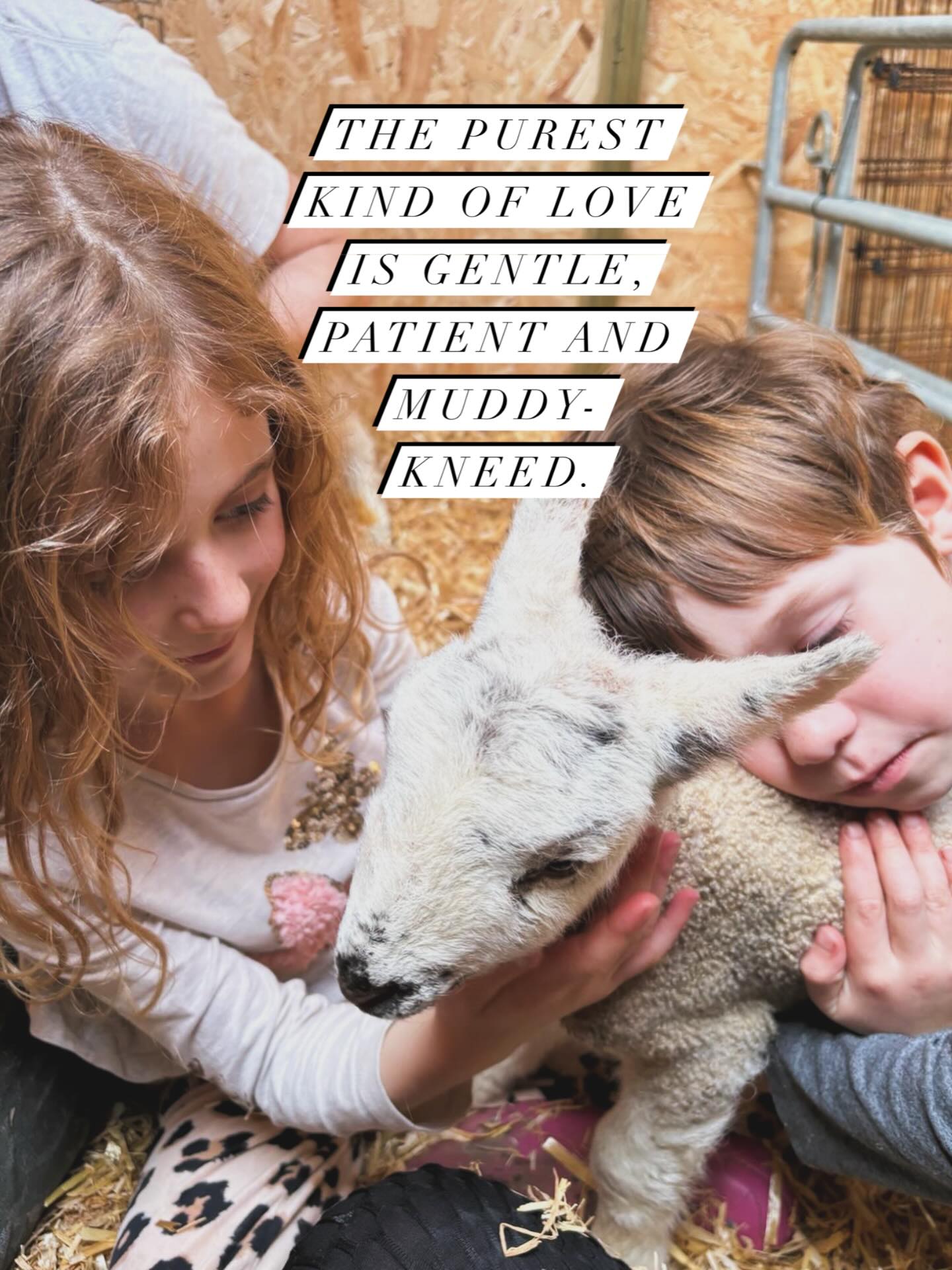 Valentine’s Day isn’t just about roses and romance.
Sometimes it looks like this…
Small hands.
Straw in your hair.
A lamb who thinks you’re its whole world. #LoveLooksLikeThis #FarmLife #valentinesday #love #bemyvalentine❤️