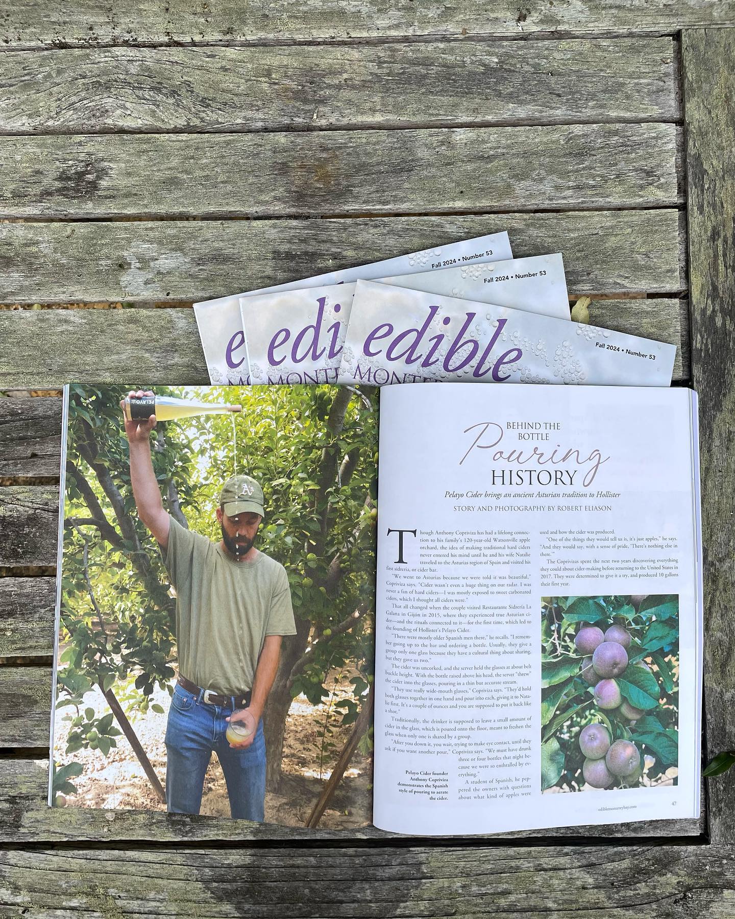 Honored to be featured in the Fall Issue of Edible Monterey!
#fall #harvest #apples #cider #sidra #naturalwine