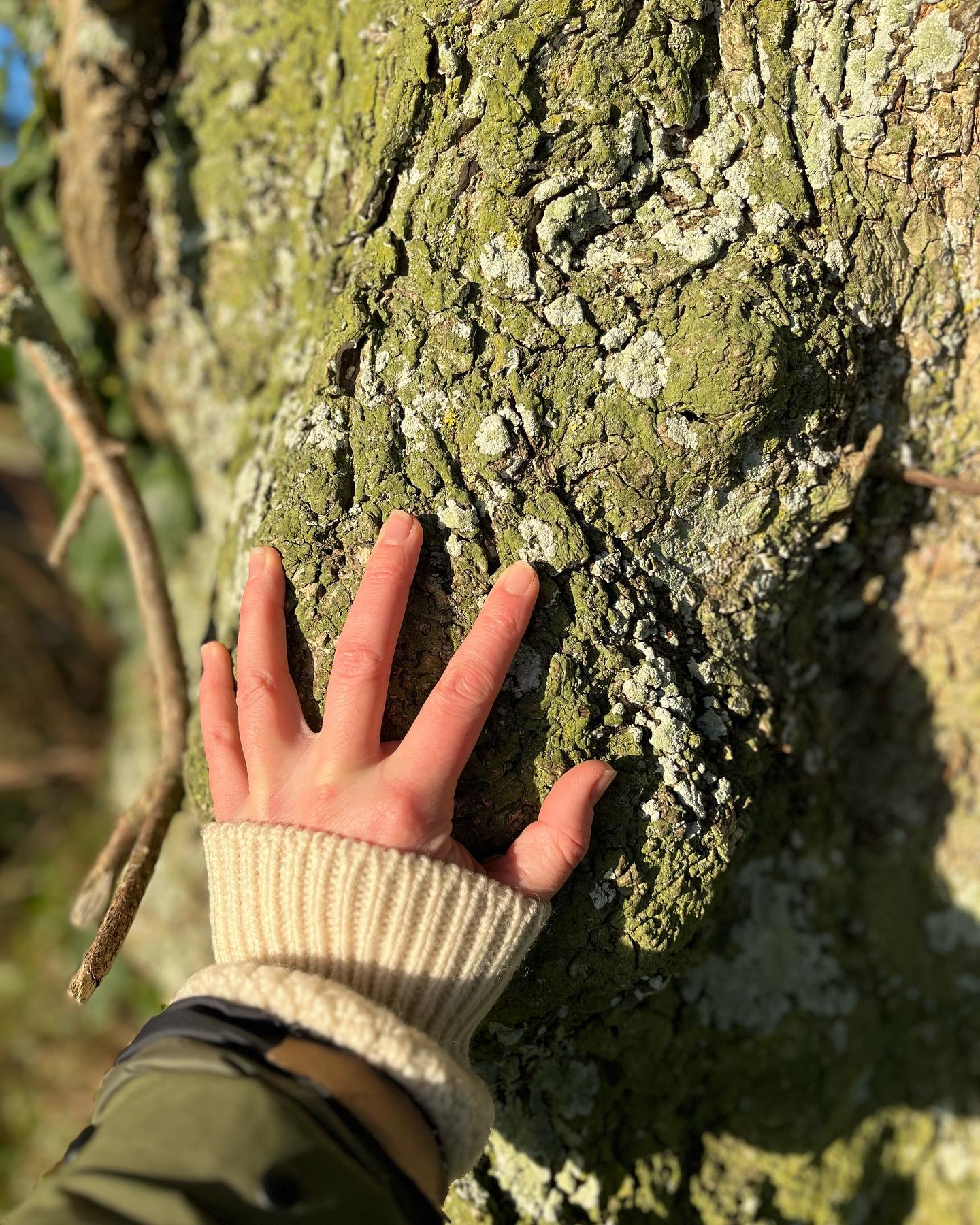 heard about ma new ‘nature nuggets’?
dollops of audio, delivered right to your ears
wherever you are, whatever time suits
moments of connection
a pause, a reminder
in amongst the busyness of your day-to-day
for Y O U
to breathe, to reconnect
to come back home to yourself
to remember what you’re a part of
to regulate, to restore
to feel revitalised & realigned
so what are they exactly?
a mindful audio moment
recorded live
bi-weekly mon to fri
roughly 15 mins max in length
on a rolling monthly subscription
no min or max subscription length
£8 early bird discount until end of jan
£10 a month thereafter
all shared via a closed Whatsapp group
offering you an accessible reminder
in amongst the busyness, the wildness, the mayhem
in between the silence, the solitude & the stillness
to remember
to pause & remember
what it is to be alive
what it is to be truly & wholely alive
in this world
at this time
want to sign up?
curious to find out more?
link in ma bio beauties
and as ever, any questions ping me a message
super psyched to be sharing these with y’all
grateful of any word spreading too 🙏
#natureconnection #ecotherapy #ecopsychology #nature #mindfulness #audio #audiosubscription #personalpodcast #reconnect #restore #mentalhealth