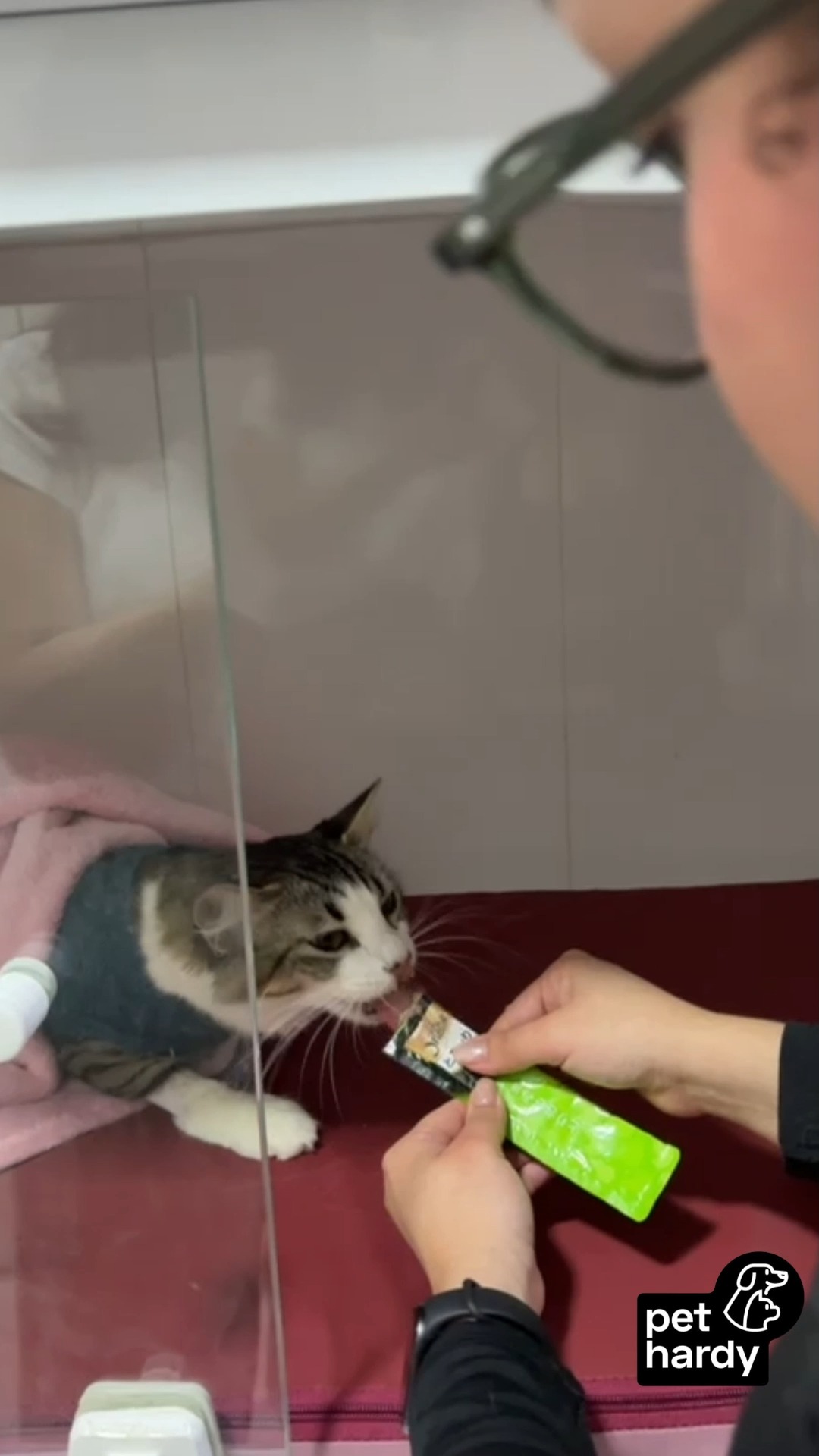 Pequenos gestos fazem toda a diferença na recuperação 🐾💛
Aqui, cada detalhe importa e seu filho é tratado com amor e dedicação. ✨
Pet Hardy | Clínica Veterinária e Pet Shop
📍 Av. Miruna, 272 - Indianópolis - São Paulo/SP 📲 (11) 91346-6234
#InternaçãoVeterinária #CuidadoComAmor #SaúdePet #RecuperaçãoComCarinho