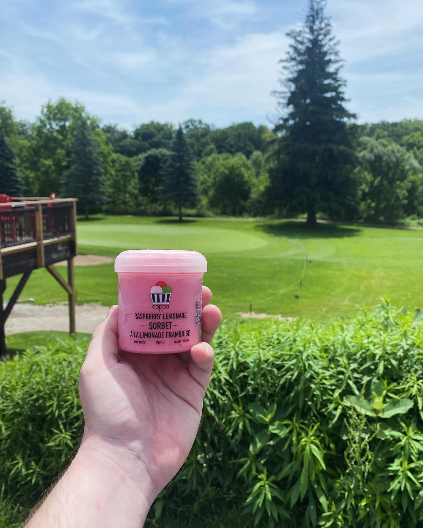 It's a great day for a Sorbet! 😎