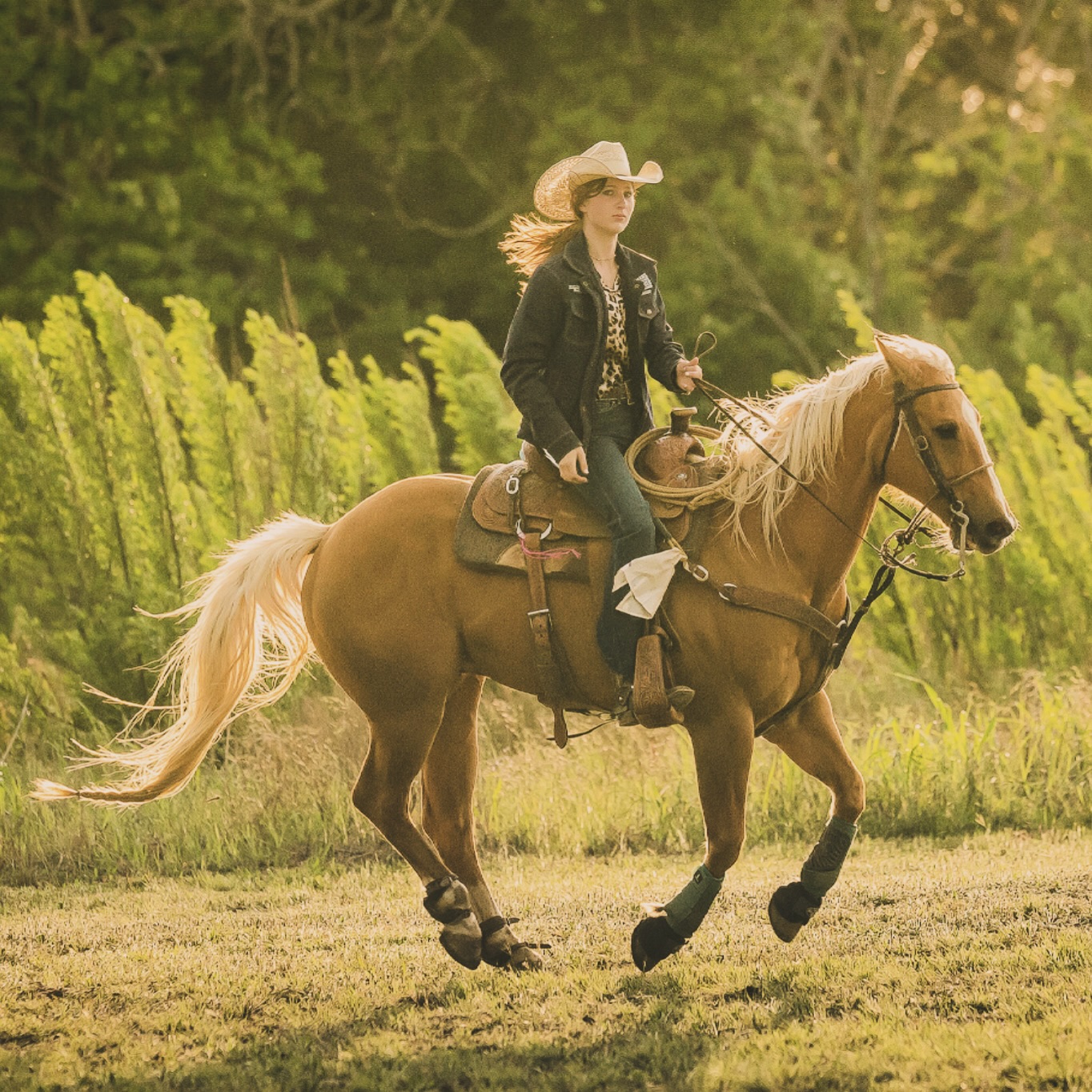 It’s officially the Year of the Fire Horse: Action, but make it aligned.
They say the Fire Horse is about action and momentum; a cosmic nudge toward courage + movement. Lunar New Year lands today, 17 Feb 2026, and the Horse energy is all go: forward motion, independence, and a little “stop overthinking it.”
For entrepreneurs, taking it as a reminder to:
🔥 choose the direction
🐎 move with intent
✨ back yourself before you feel ready
You’ve got this. #YearOfTheFireHorse #EntrepreneurMindset #SmallBusinessBrisbane #RoseAndEmber #FounderEnergy #BusinessGrowth #MindfulFounder #BrandStrategy
Photo: Texas Rodeo, unknown horse & rider. Kaili Rose 2023.