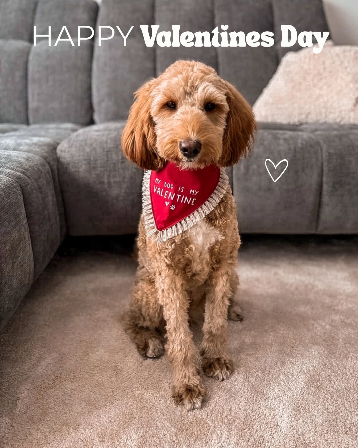 Uns hat gestern dieses süße Kundenbild von Elli erreicht ❤️ wir wünschen euch allen einen schönen Valentinstag 💐😍