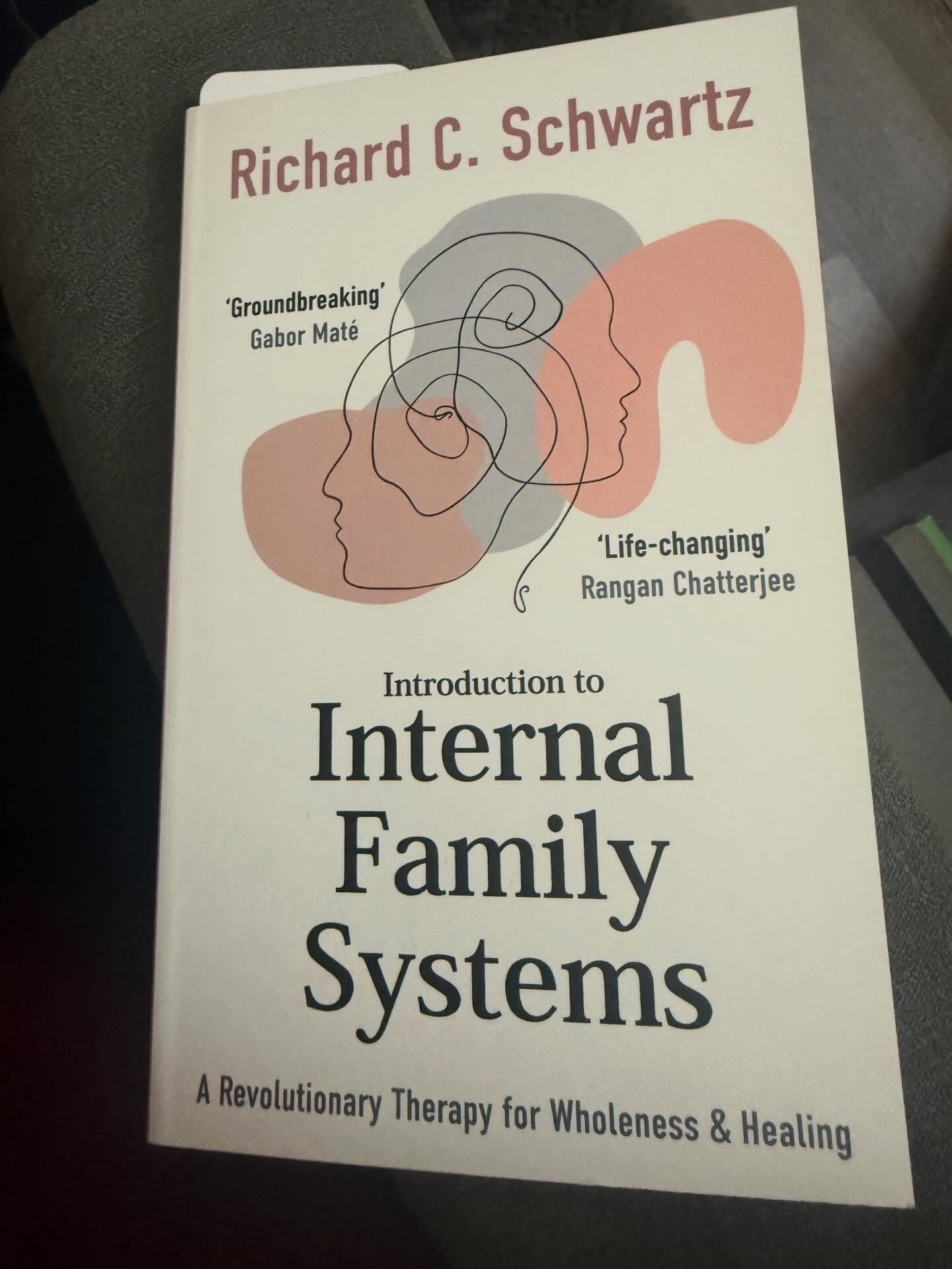 My current read #loveagoodbook #alwayslearning #cpd