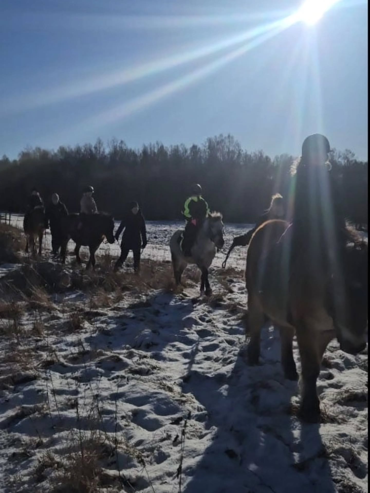 ❄️Dagridläger för barn på sportlovet
17 februari, kl 09.00-15.00
18 februari kl 09.00-15.00
Detta läger riktar sig till barn och ungdom som ridit minst 1 termin på ridskola, eller har motsvarande kunskap, och som minst kan rida och kontrollera din häst utan ledare i skritt och trav på ridbanan men som kanske behöver ledare på uteritt.
Lägret är också lämpligt för elever som ridit i många år i alla gångarter, vi har möjlighet att dela upp ryttarna i mindre grupper om det är olika nivåer på ryttarna.
Under dagen ägnar vi oss åt grupplektion på ridbanan, hästpyssel, en härlig uteritt, stallskötsel, teori och mycket annat kul.
🍽Egen matsäck och mellis medtages, kylskåp och micro finns. Vi bjuder på frukt och saft.
Har man ingen skjuts hem direkt vid 15 går det bra att hänga kvar hos oss och vänta tills föräldern slutat jobbet. Likaså går det bra att bli lämnad tidigare på morgonen om det behövs.
💰 Pris: 650kr/dag
Varmt välkommen till en härligt, hästig dag hoss oss på Ängvaktartorp!
❄️🐴🌞