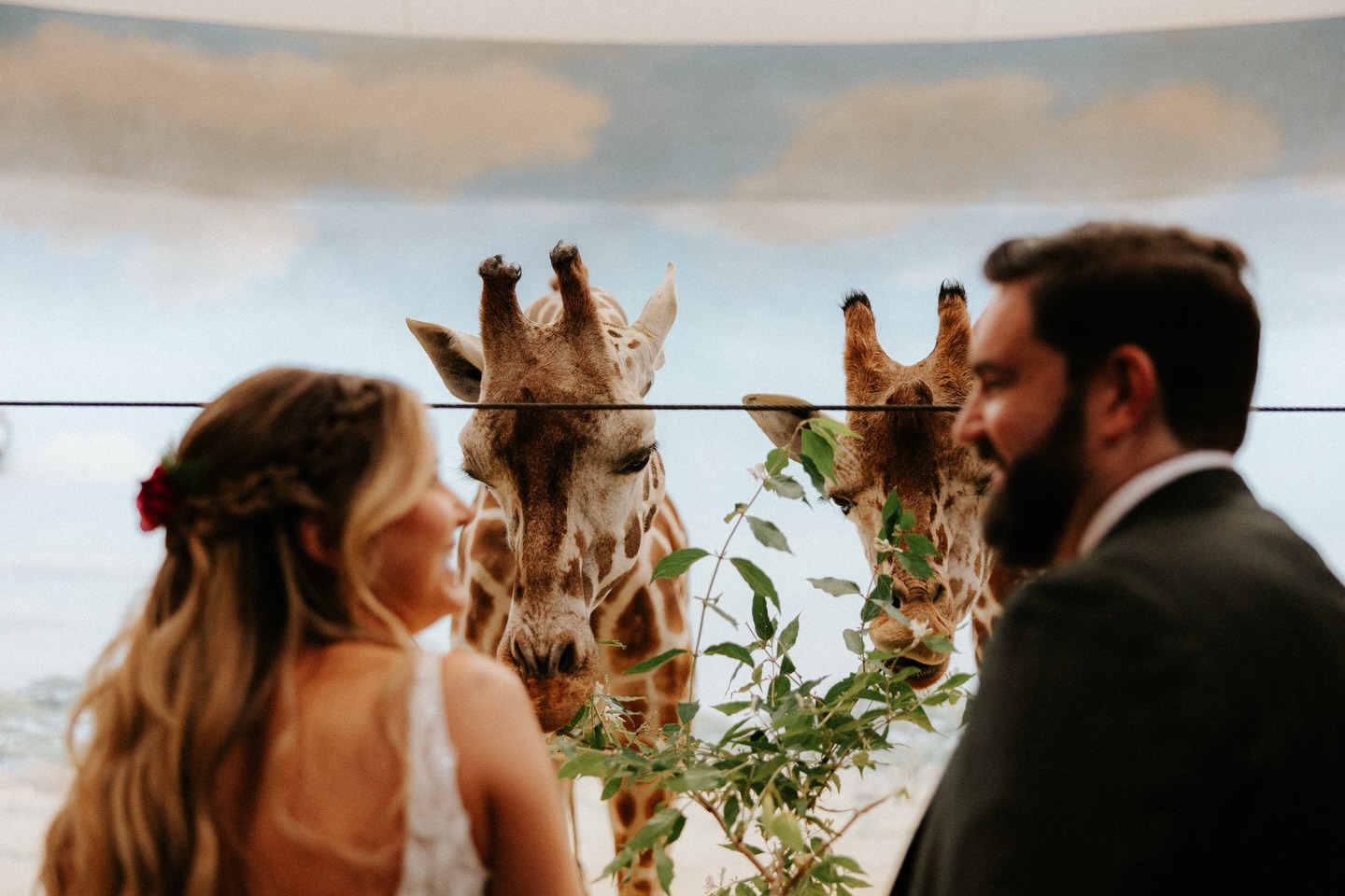 “So what if we got married at a zoo?!”
Say. No. More. 🐆✨
From cocktail hour with the sea lions to dancing under the stars - if you can dream it, we can design it.
You don’t have to get married in a ballroom.
You don’t have to follow the script.
You don’t have to do what everyone else did.
You can get married at the zoo.
At a museum.
In your backyard.
On a mountaintop.
Anywhere.
And we’ll make it feel intentional, elevated, and completely you.
Planning & Design: @allsettup
Photographer: @amour_is_french
Venue: @nyzooevents
Florals: @wilddahlia_
DJ | Officiant: @goldennoteent
Band: @thenightvisitors
HMUA: @bohohairsalon
Lighting: @frostproductionsnyc
Cake: @contis_pastry_shoppe
Luxury Events || New York Events ll NY Wedding Planner ll Event Design ll Creative Event Team ll Curated Events || All Sett Up || NYC Wedding || Luxury Wedding Design