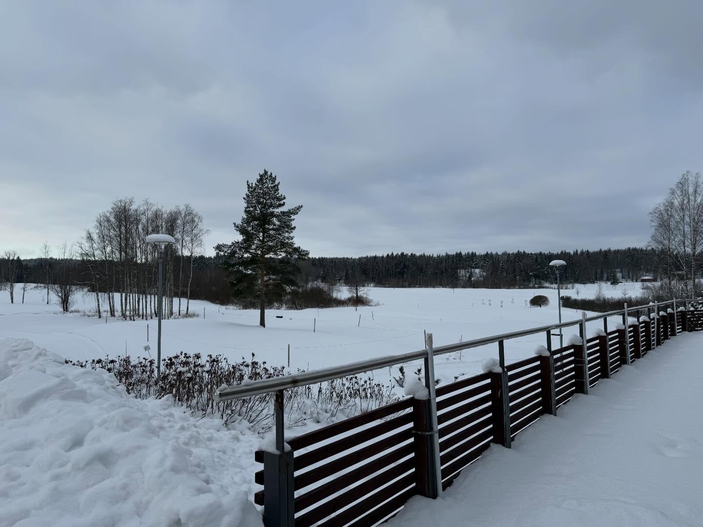 Aamupäivän tilanne. -8 C