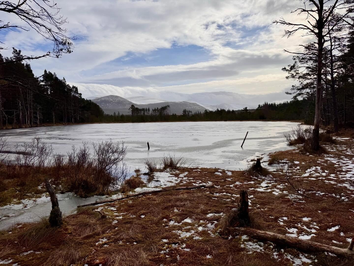 Like what you see 👀 there is still time to book May @cairngormsnationalpark trip
https://www.yorkietalkies.co.uk/event-details/may-cairngorms-summer-adventure-scotland-2
#getoutside #YTO #scotland #adventure