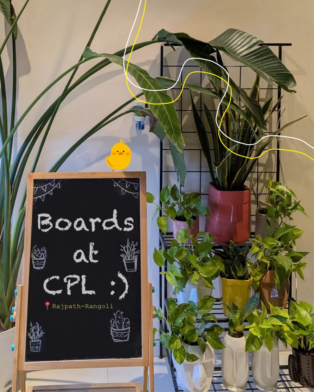 SKIP THE NOTES ✖️
CPL SERVES LOVE, BOARD-SIZE 💌🌿✨
.
.
.
#crazyplantladycafe #boardsatcpl #cuteaesthetics #cafesinahmedabad #cutecafes