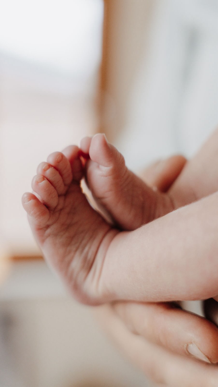 Eure Erinnerungen verdienen mehr
als einen Platz auf dem Handy 💛
Diese neuen Musterprodukte zeigen mir wieder:
Bilder dürfen gesehen werden. Gefühlt werden. Teil eures Alltags sein.
✨ Februar Special für meine Bestandsfamilien:
5 % auf alle Fotoprodukte aus unseren gemeinsamen Shootings.
Ich begleite euch persönlich bei der Auswahl,
denn diese Bilder sind es wert,
jeden Tag eure Herzen zu berühren.
Schreibt mir gern 💌
Habt ihr schon eure Produkte in Erinnerungen verwandelt? ✨🤗 stimmt gern ab.
#badsegeberg #vomlichtgeküsst #familienfotografie #reinfeld #fotoprodukte