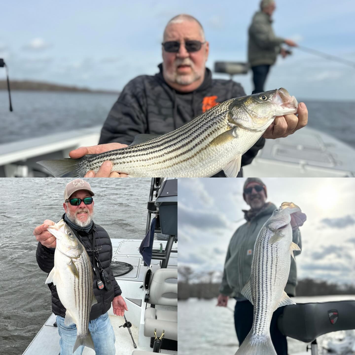 Another day, another chase! Couldn’t have asked for better company today with Ralph and @carlscrivani on our first striper trip of the year. The guys held on tight between spots and we fished a lot of spots, the fish were moving fast everywhere we went, but we managed to put some pretty fish in the boat before it was all said and done. Enjoyed the jokes and laughter, see you two soon! #striper #stripers #striperfishing #inshorefishing #prettyweather