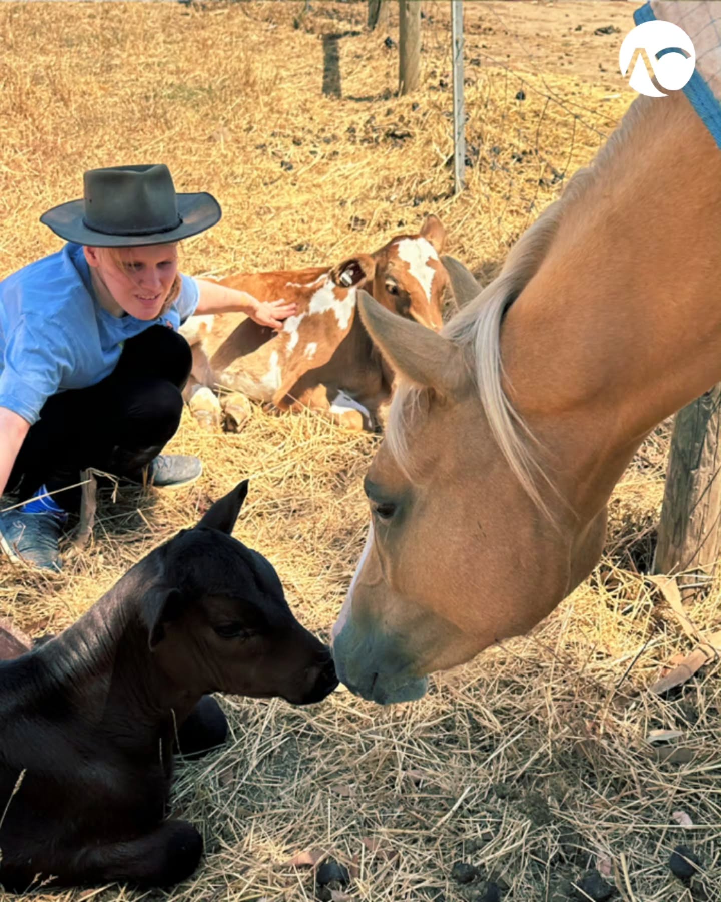 A quiet moment of connection at the farm! 🐴🐄
.
.
.
.
#NDIS
#InclusiveExperiences
#FarmBasedSupport
#MeaningfulMoments
#CommunityConnection