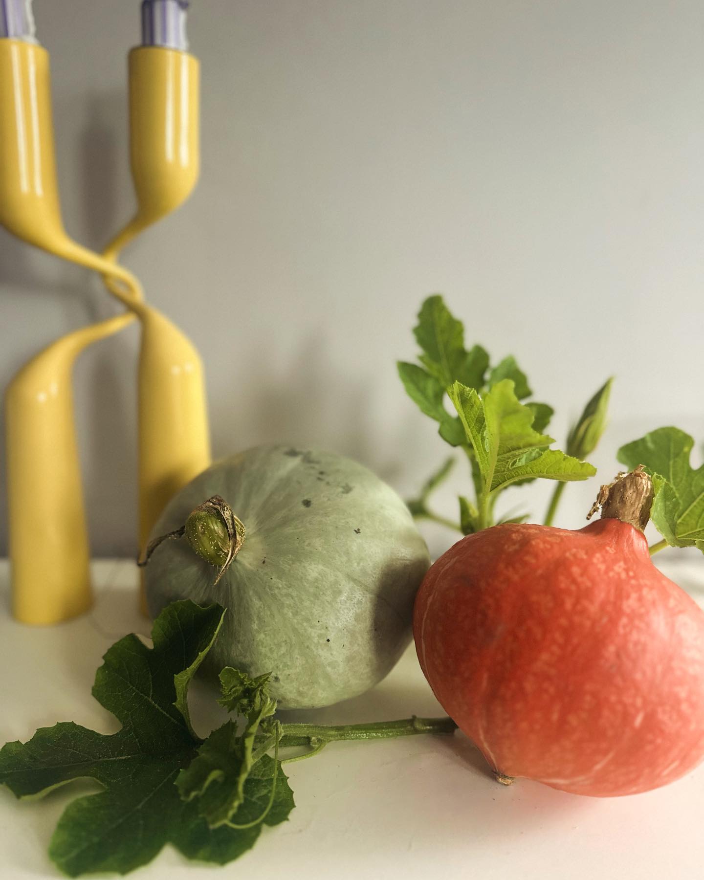 #harvest #inspirationdeco#autumnvibes