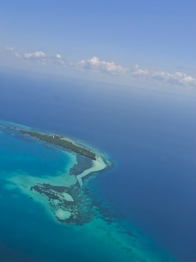 Hakuna Matata found here.
#zanzibarisland #bigfivetrails #safarienespañol #zanzibatour #luxurysafari