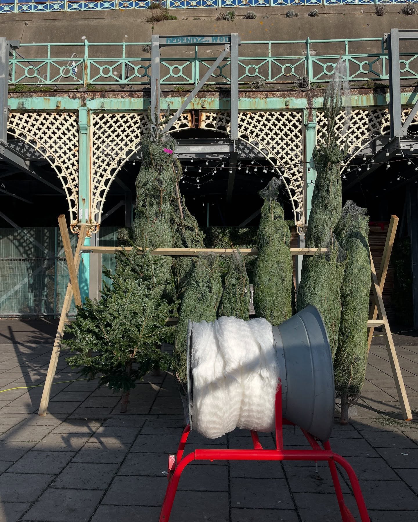 🌟ALL TREES HALF PRICE 🌟
Left it last-minute to get your Christmas tree? Don’t fear, today’s our last day outside Concorde 2 and we have a few trees left waiting to find their homes for Christmas 🎄