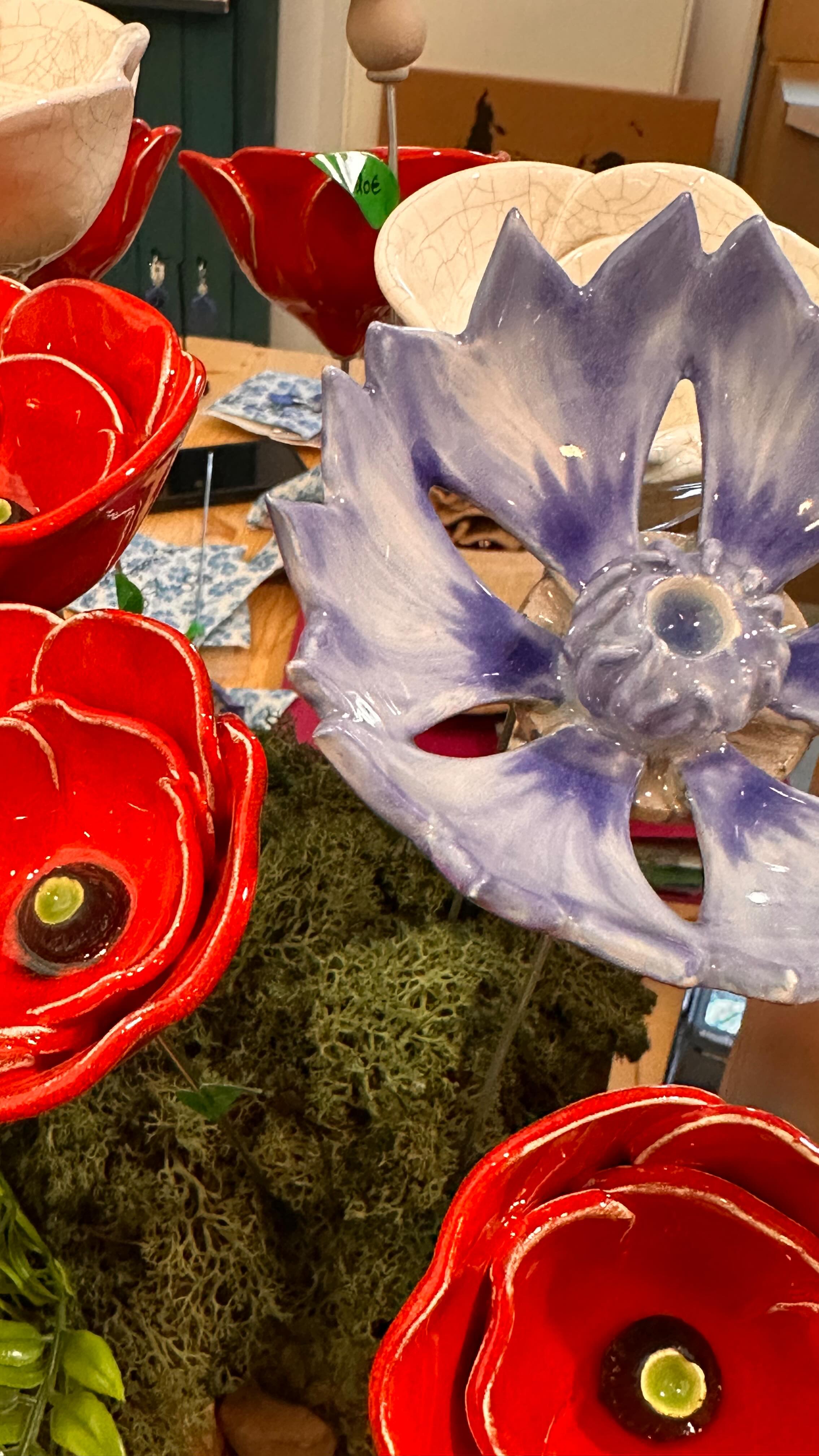 Des champs de coquelicots au studio de Vignacourt, l’histoire s’écrit en rouge et bleu @vignacourt1418 @followers #somme #picardie #lasommeblog #guerre1418 #ausralianwarmemorial