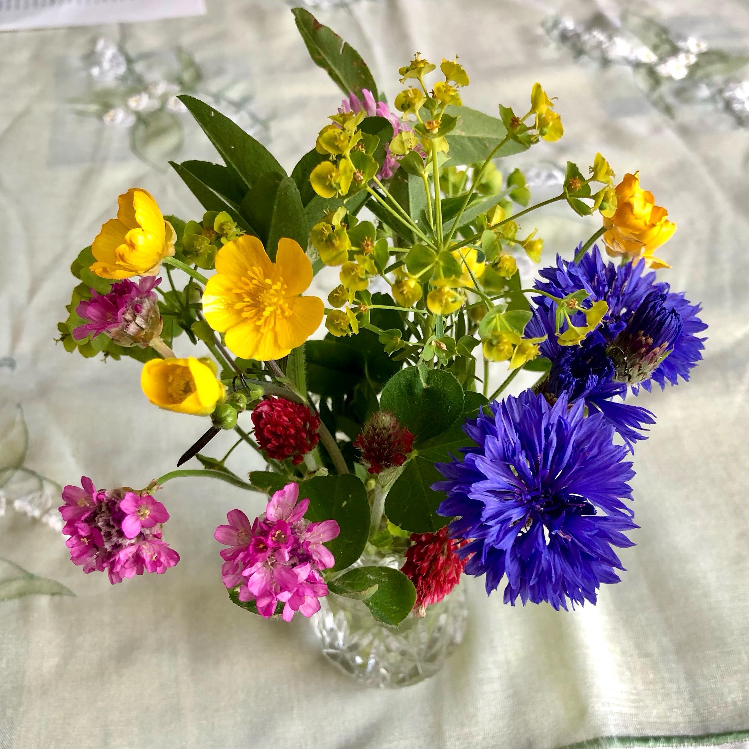 Ein kleines schnuffiges Sträußchen haben wir heute vom Spaziergang mitgebracht… 😍😍💐
.
.
#iloveflowers🌿🌸 #wiesenblumenstrauss #wiesenblumen #cutelittlebouquet #flowerbouquets #bouquetofwildflowers #wildflowers #wasblühtdennda #selbstgepflückt #kunterbunt #buntistmeinelieblingsfarbe #buntistmeinelieblingsfarbe💛💜💚❤️💙 #meadowflowers #wiesenfund