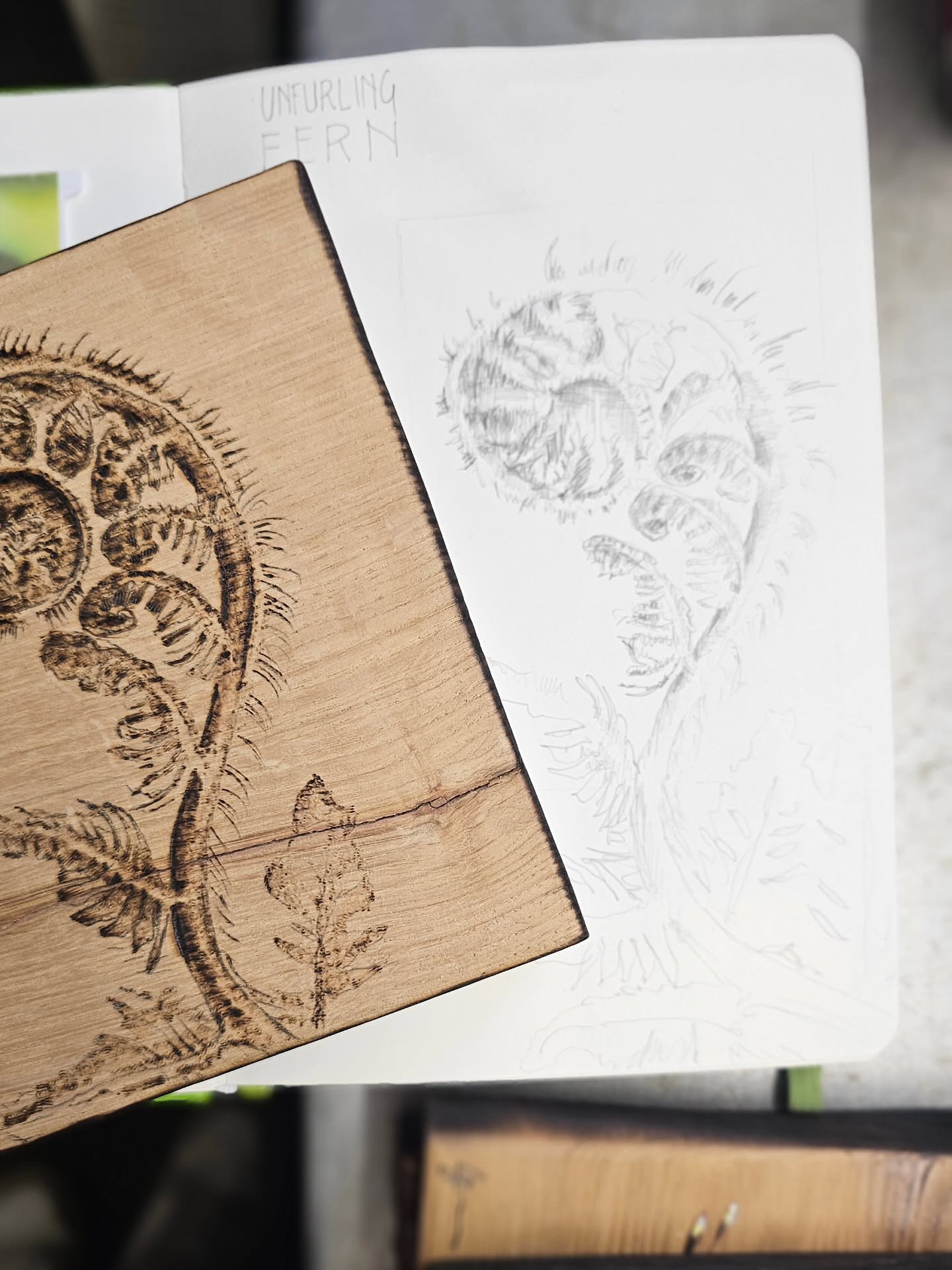 Obsessed!
๐ฑ With plants at the mo, its normally birds and insects. What is going on. Perhaps the new Spring springing is totally getting in my head even with the ridiculous amount of rain.