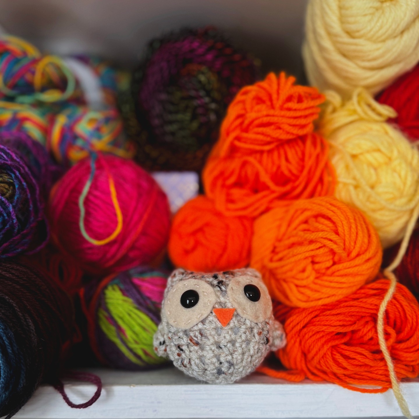 This little owl was so much more fun to make than I was prepared for! This is the Wise Little Owl pattern from Catherine Hirst's book teeny tiny crochet: 35 adorably small projects. You can find the @thriftbooks link to the book on linktree link in bio.
The pattern was really quick to work on and I love a cute-but-fast pattern, and I don't think I've ever added felt to a crochet pattern. I have been a little nervous and excited about incorporating felt in =to my crochet when planning to work through this book. But it came out really well! 10/10 would recommend.
Book update: I finally started reading the Lord of the Rings and like with the Hobbit, I'm enjoying it more than I expected to! One of my favorite parts of reading is coming across quotes or themes that are highly relevant to what happening in the current world.
*
*
*
*
*
#womanownedbusiness #shopsmallbusiness #giftforher #christmasgift #handmadegifts #crochetgift #handmade #pink #crochetowl #yarnstash #yarnbustingprojects #scrapyarn #scrapyarnproject #lotr #lordoftherings #frodo #gandalf