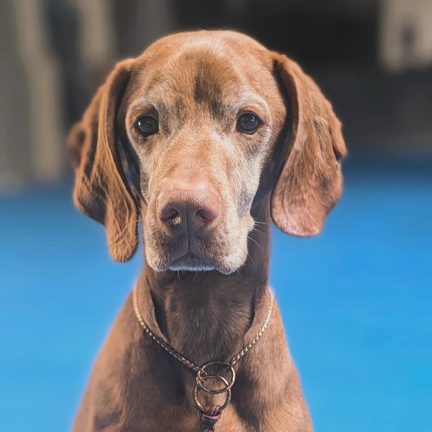 My handsome #sugarface 😍
But also please stop getting old 😭