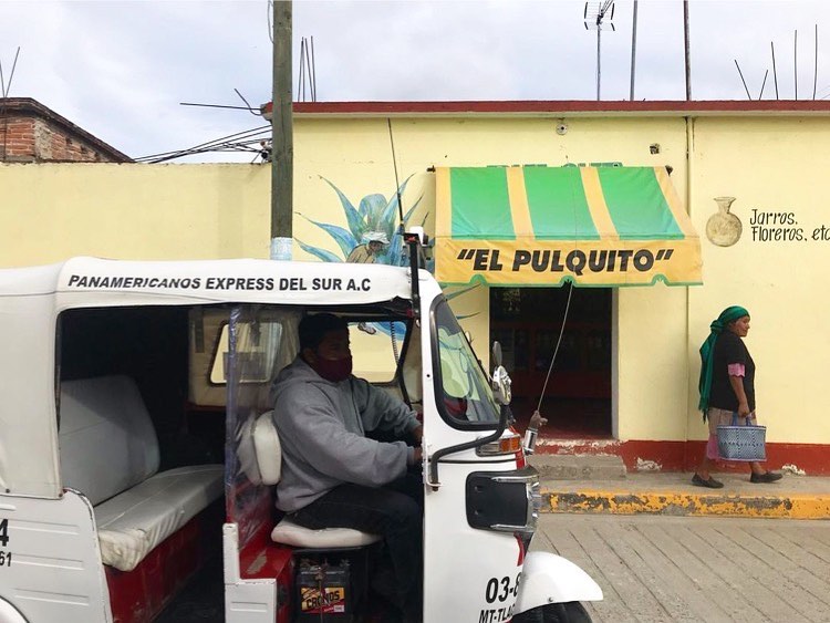 @pulquito_de_matatlan ✨
#pulquito #aguamiel #pulquero