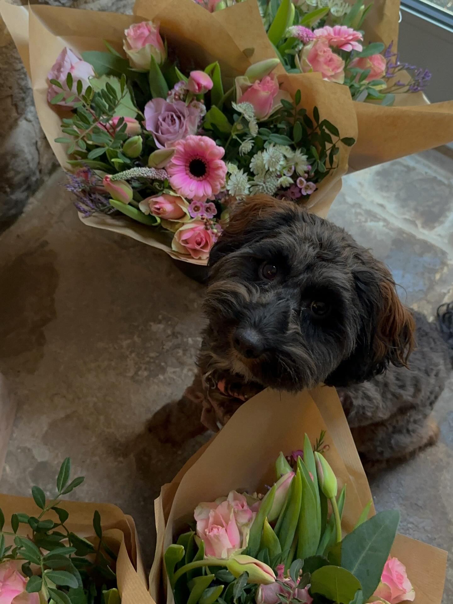 It’s the week of LOVE ❤️ and Poppy is reminding everyone that there still time to order your special someone some flowers for valentines.
Make sure to order before Thursday for guaranteed delivery for Saturday.
#valentinesday #local #florist #shoplocal #peakdistrict