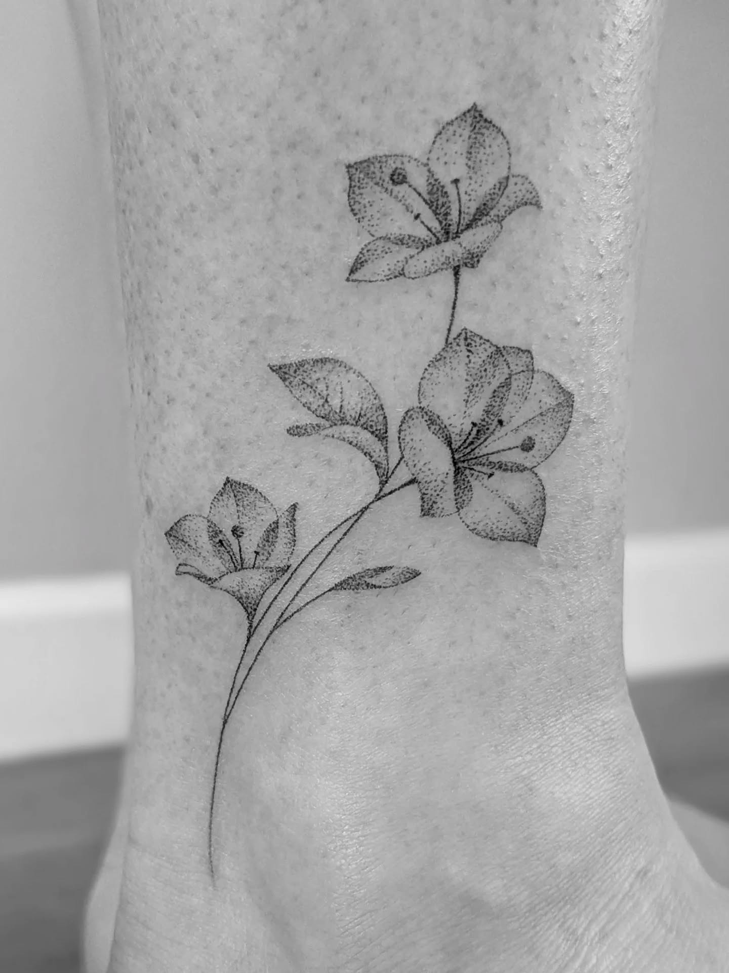 Bespoke bougainvillea tattoo for Jo 🌸
I'm always grateful when clients come back - though I'm kicking myself for forgetting to take a healed photo of the last one! 🤦
Hand-poked, dot by dot, to capture those delicate papery petals. The stem follows the ankle's natural curve, and the scale lets each flower breathe.
Thanks again Jo! 🤗
_______
✨ Enquiries are OPEN
Browse & book designs on my website, or enquire about something bespoke. All tattoos are gently handpoked in my peaceful village garden studio near Bedford. 🧡
🎁 Gift vouchers available