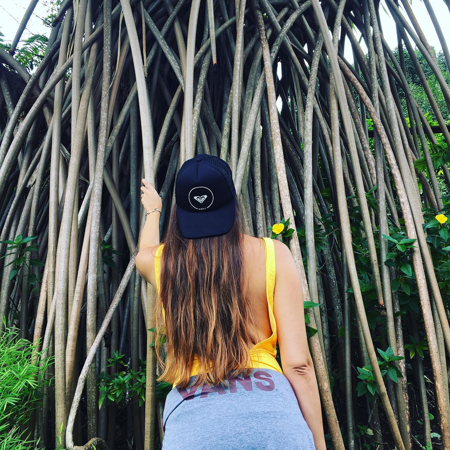 « Maybe you are searching among the branches for what only appears in the roots. » Rumi