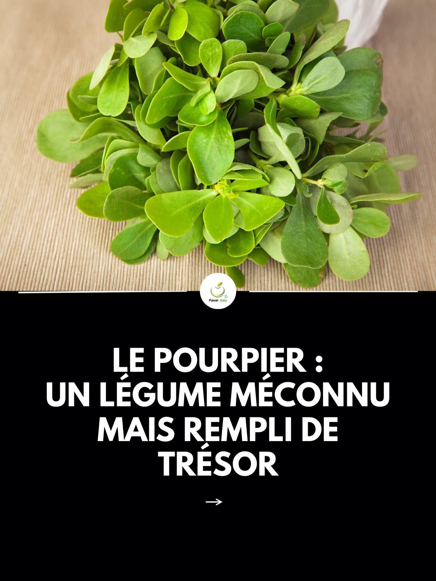 Le pourpier est une plante comestible encore méconnue, mais pleine de qualités.
Son goût est frais et légèrement acidulé, et sa texture croquante et juteuse apporte beaucoup de fraîcheur aux plats.
Facile à adopter, le pourpier se consomme cru en salade, dans des bowls, ou simplement assaisonné.
Il permet de varier des salades classiques et d’apporter une touche originale à l’assiette.
Un produit simple, frais et plein de caractère 🌿 #pourpier #legumes
